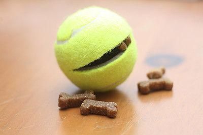 TENNIS BALL  DOG TOY