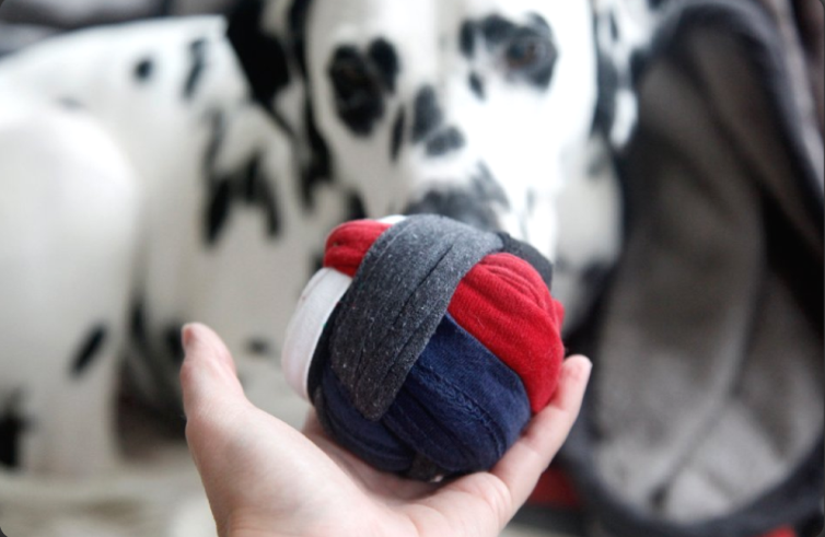 วัสดุเหลือใช้ในบ้านที่เหมาะสำหรับทำของเล่นสุนัข